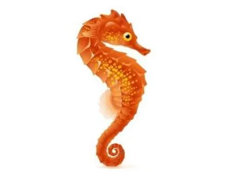 Caballito De Mar
