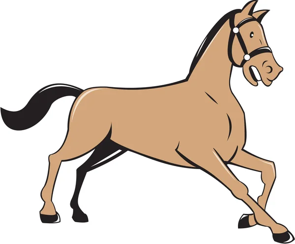 Caballo arrodillarse dibujos animados — Vector stock © patrimonio ...