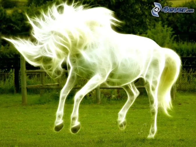 Caballo blanco