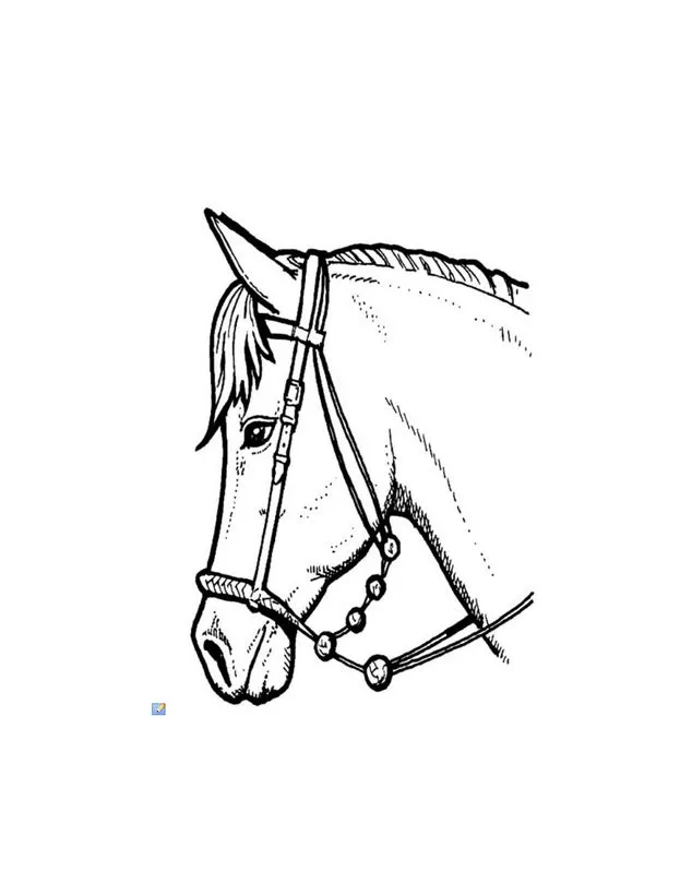 Dibujo perfil de un caballo para colorear - Dibujos de CABALLOS para ... Dibujo perfil de un caballo para colorear - Dibujos de CABALLOS para ...