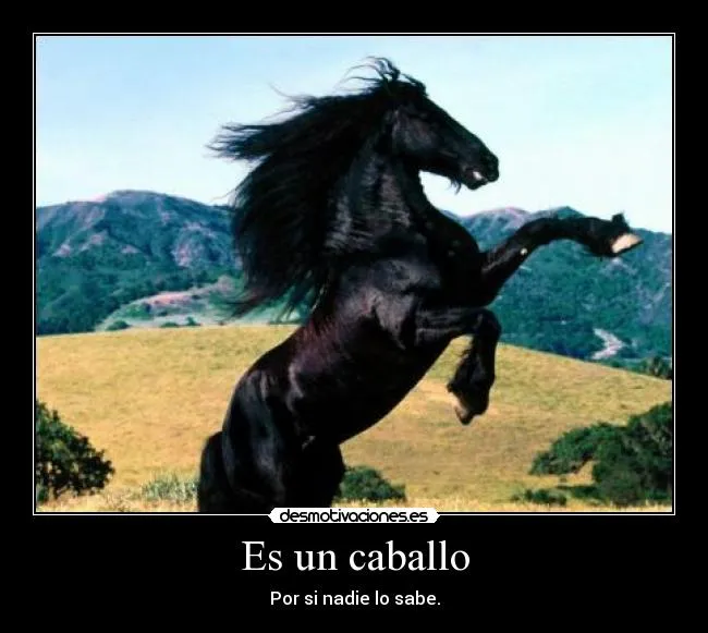 Es un caballo | Desmotivaciones