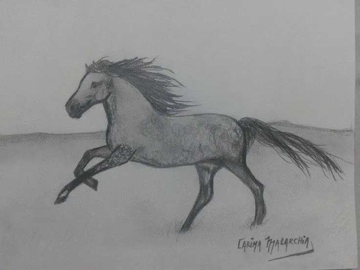 Caballo. Dibujo a Lápiz. Carina Malarchia | Mis dibujos a Lapiz ...