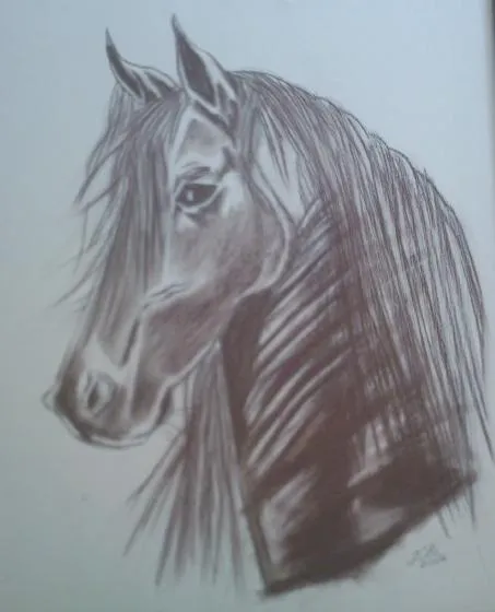 CABALLO. Francisco J. Benítez Bernal. 49x65. Pintura al carbón ... CABALLO. Francisco J. Benítez Bernal. 49x65. Pintura al carbón ...