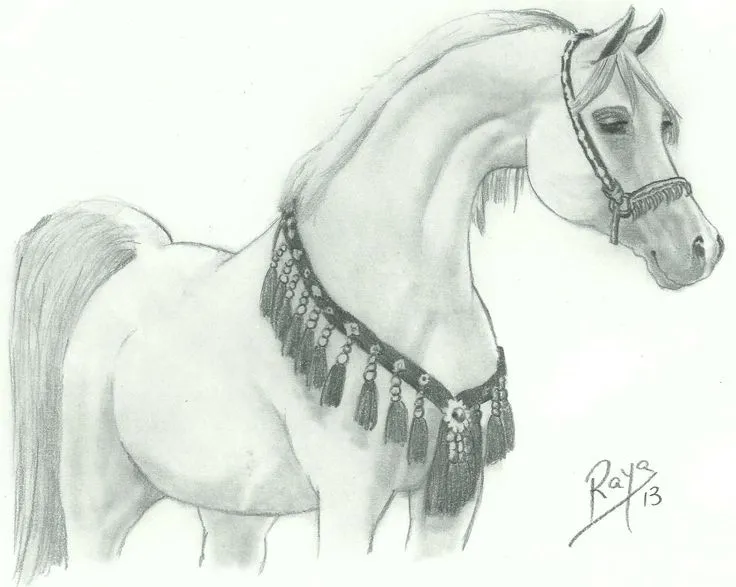 Caballo frison | Dibujos hechos por mi | Pinterest