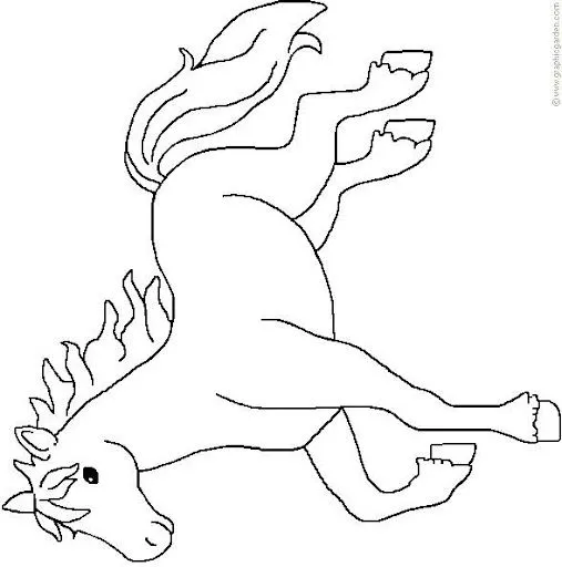 caballo galope.gif.jpg?imgmax=640