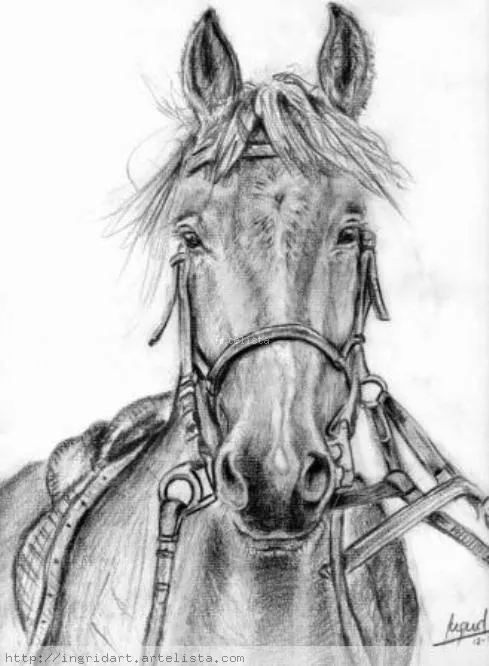 Caballo a lápiz - Imagui