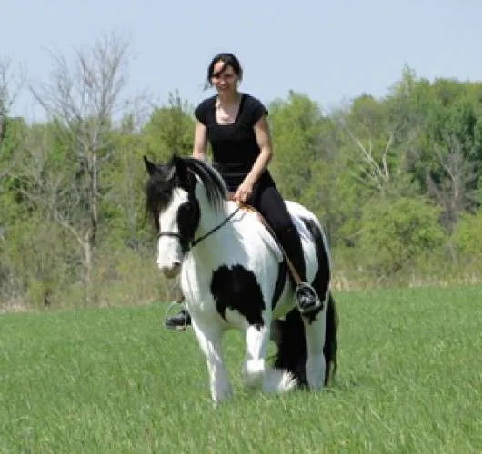 Un caballo muy majo para vender.este caballo blanco es muy ajil ...