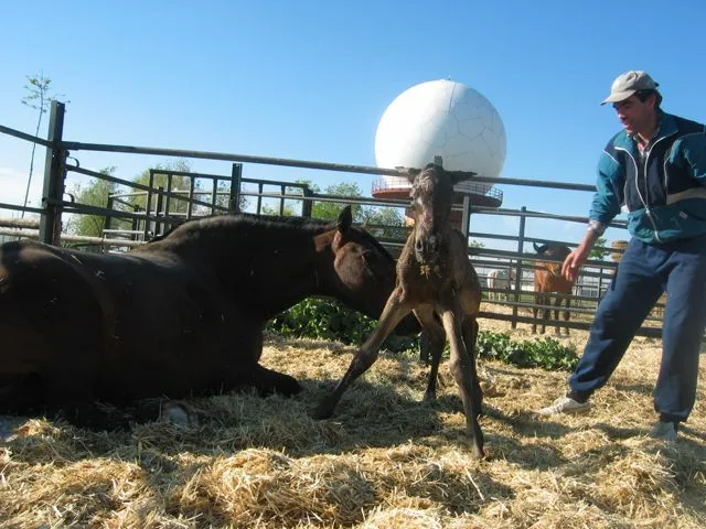 A caballo: mayo 2011