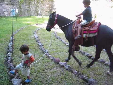 El Caballo Negro de mis niños - YouTube