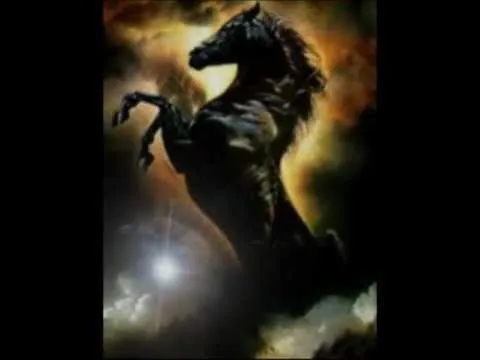 CABALLO NEGRO - YouTube