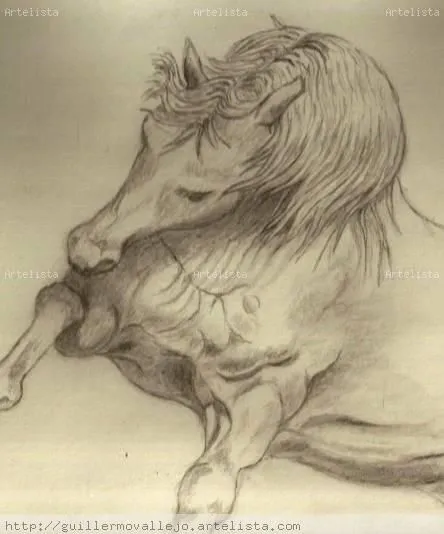 Como dibujar caballos paso a paso a lapiz - Imagui Como dibujar caballos paso a paso a lapiz - Imagui