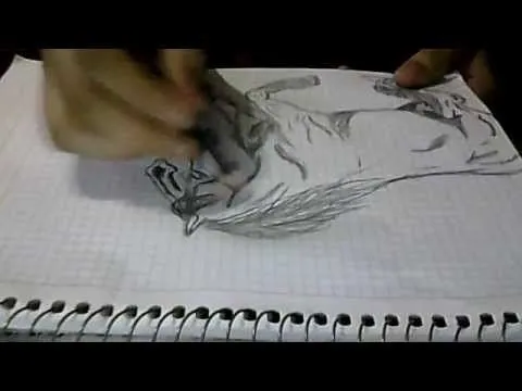 CABALLO PERCHERON CORRIENDO DIBUJO RAPIDO - YouTube