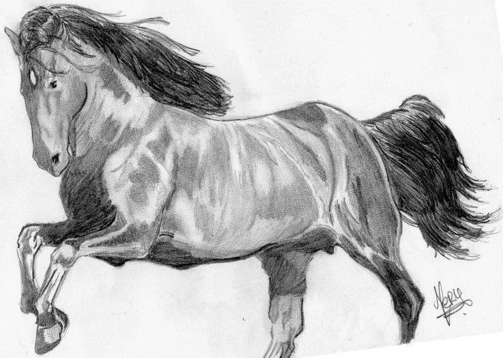 Caballo salvaje por MeriJane | Dibujando