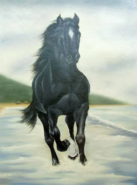 Caballo salvaje myriam anays duce carle - Artelista.com