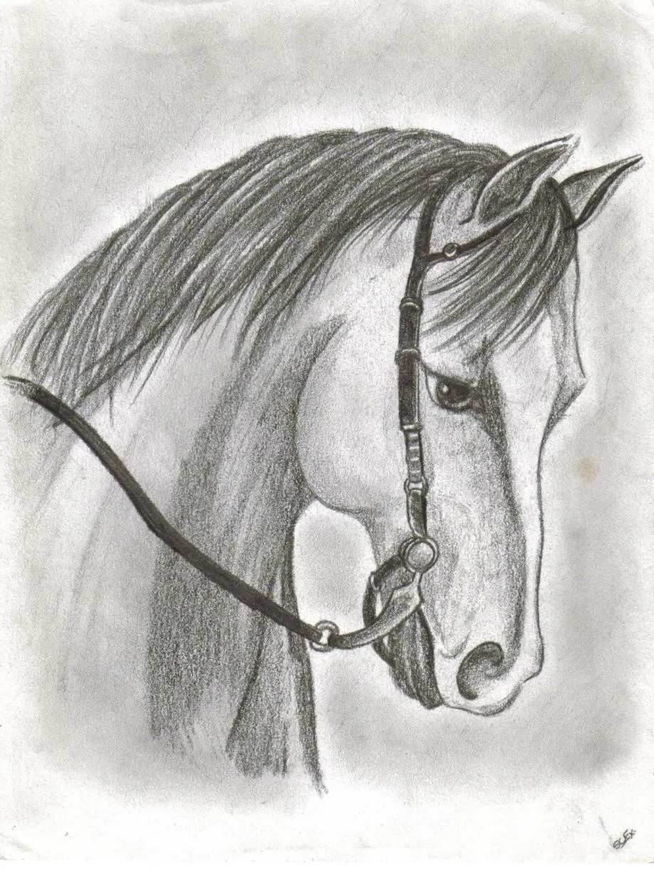 caballo por SoLaNgE-scf | Dibujando