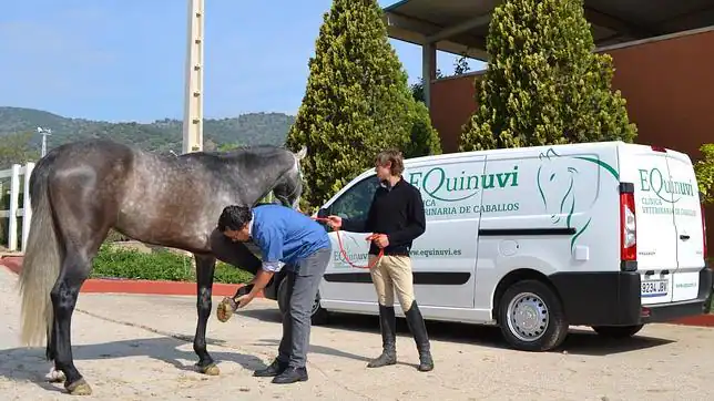 caballo-uvi-cordoba--644x362.jpg