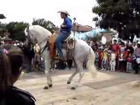 Caballos bailadores - YouTube