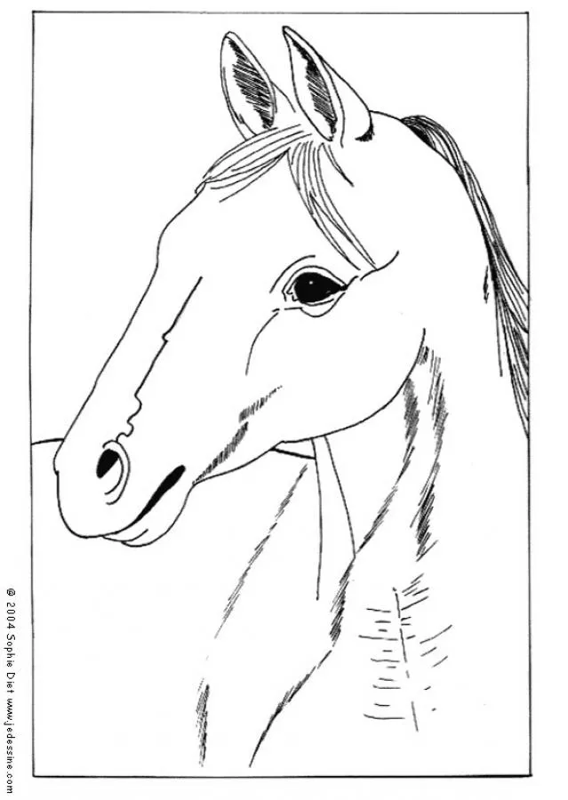 Pin Caballo Para Colorear Dibujos De Caballos E Imprimir on Pinterest Pin Caballo Para Colorear Dibujos De Caballos E Imprimir on Pinterest