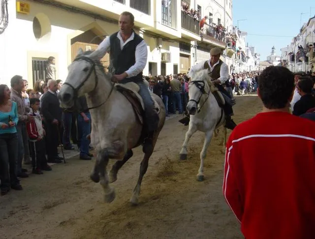 Caballos corriendo El dia de la Luz