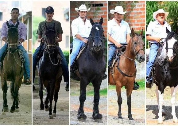 Los caballos criollos son mayoría