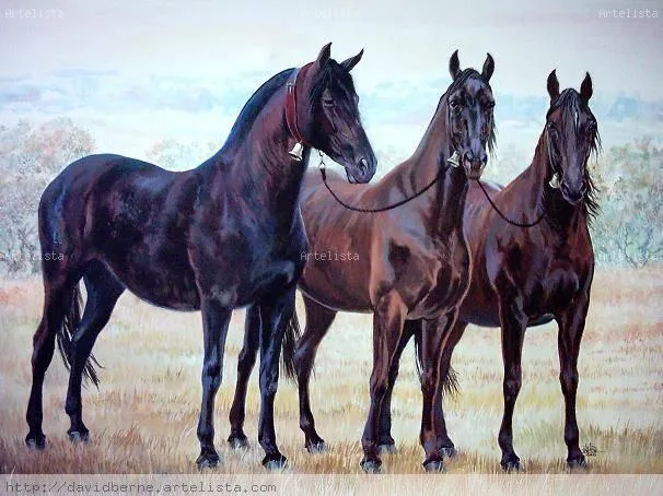 Caballos David Bérne Calcini - Artelista.com