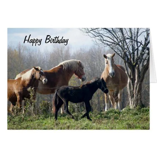 Caballos del feliz cumpleaños felicitación | Zazzle