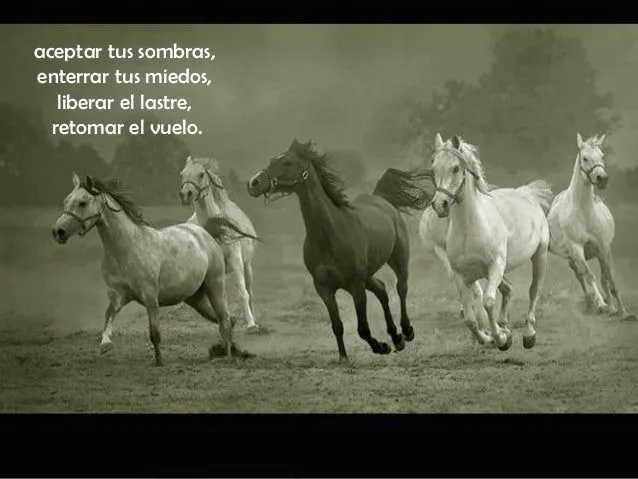 Caballos y frases