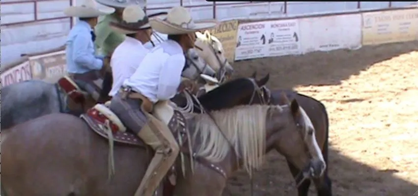 Caballos de la frontera - Borderzine