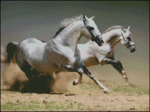 Caballos - Hilos para Bordar (DMC, Rosace, Anchor, Panda, ...) y ...