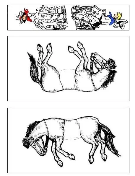 Caballos y jinetes | A flote
