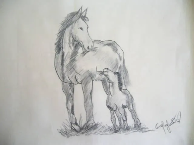 Dibujos de caballos faciles a lapiz - Imagui