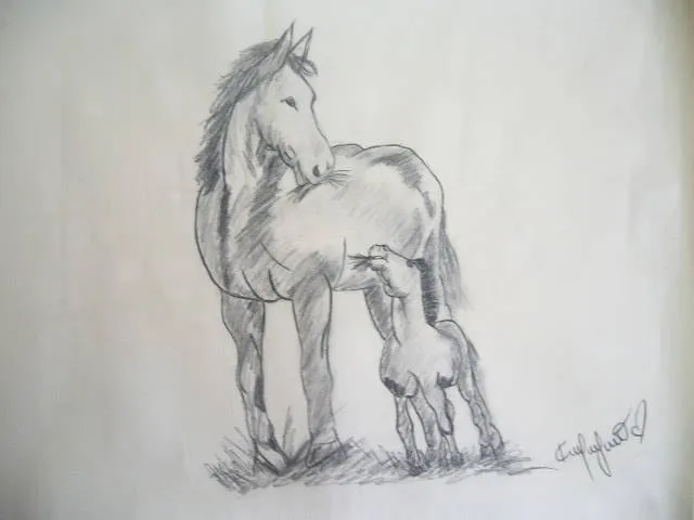 Dibujos de caballos faciles a lapiz - Imagui Dibujos de caballos faciles a lapiz - Imagui