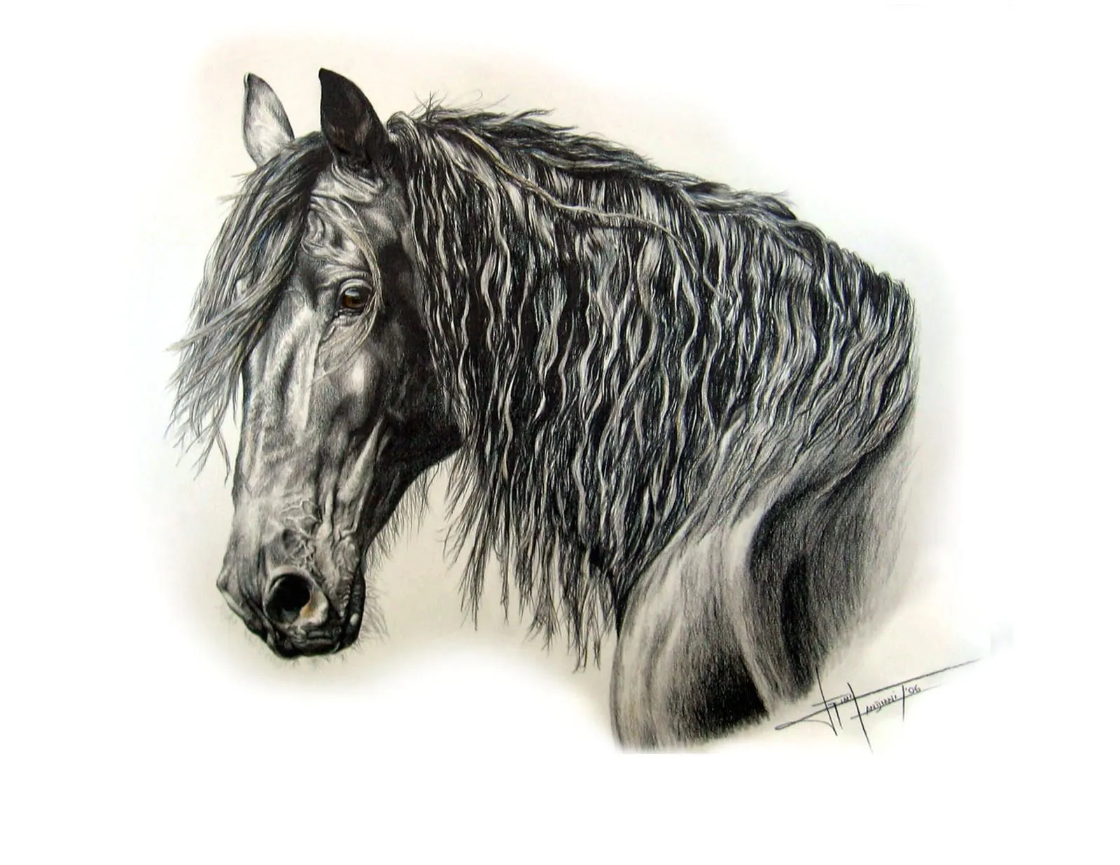 caballos a lapiz by ginacandiani on DeviantArt caballos a lapiz by ginacandiani on DeviantArt