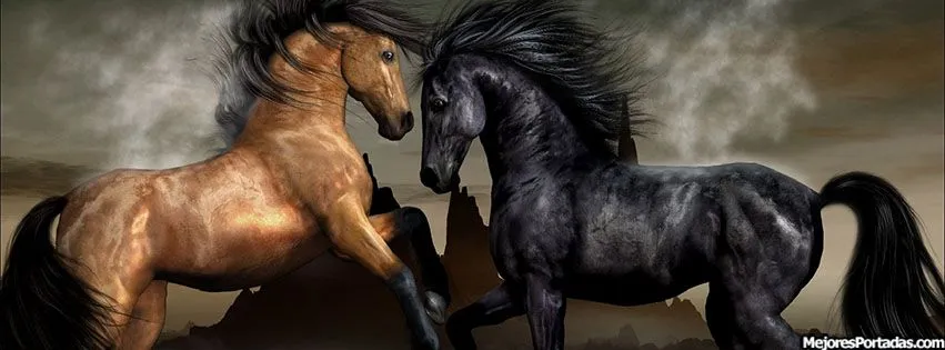 Caballos luchando - ÷ Las Mejores Portadas para tu perfil de ... Caballos luchando - ÷ Las Mejores Portadas para tu perfil de ...