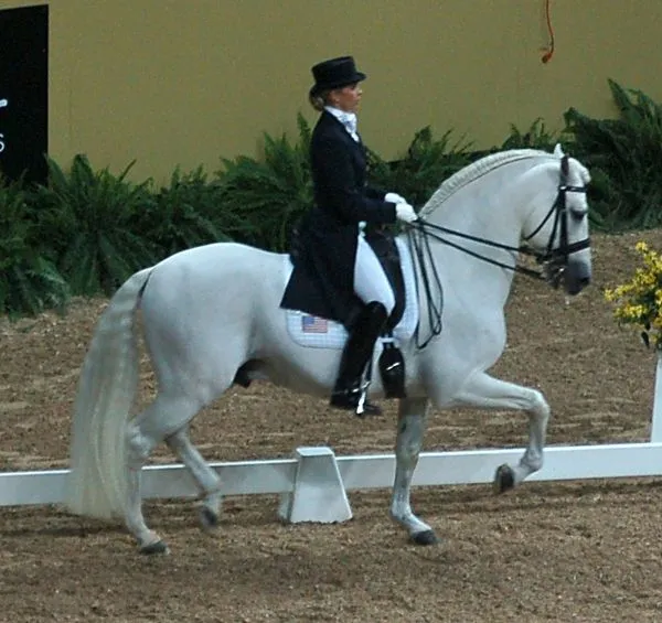 Los caballos con nobleza más apreciados - estilos de vida ...