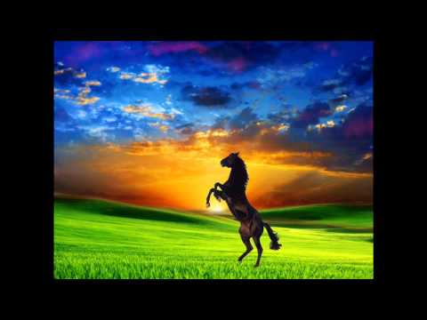 CABALLOS Y PAISAJES 1 - YouTube