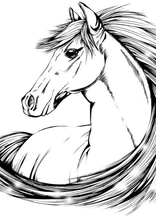 Caballos-para-dibujar-facil- ...