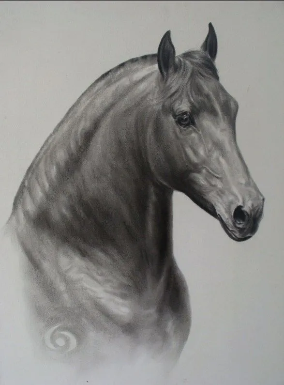 Caballos pintados a carboncillo | Pinturas al Óleo