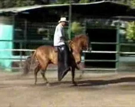 Caballos PlayList