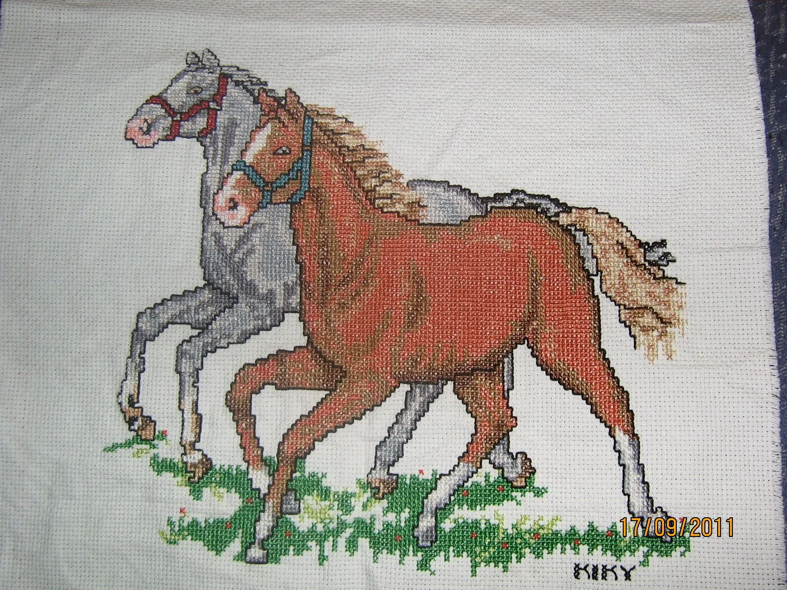 Caballos de punto de cruz - Imagui
