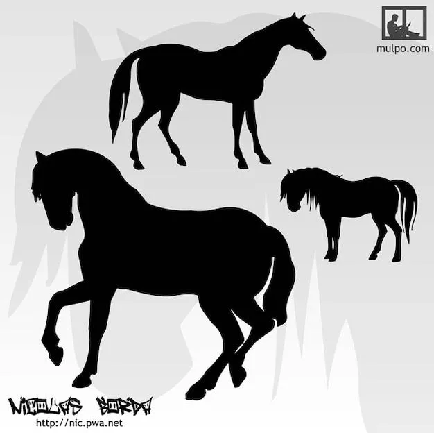 caballos de siluetas | Descargar Vectores gratis