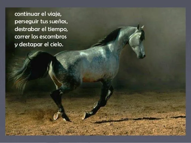 caballos-y-frases-5-638.jpg?cb ...