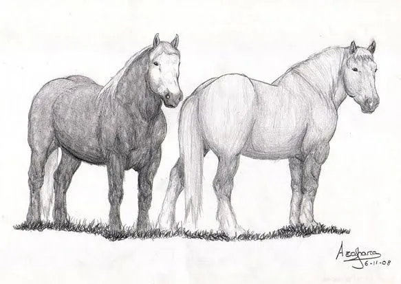 CaballoSara Club Hípico Titú: Dibujos de caballos CaballoSara Club Hípico Titú: Dibujos de caballos