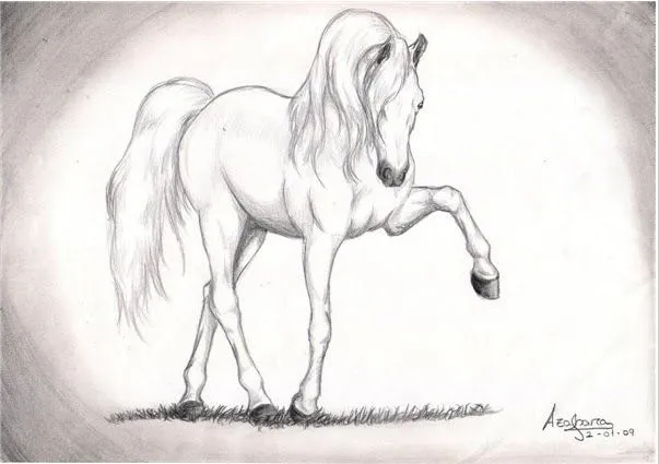 CaballoSara Club Hípico Titú: Dibujos de caballos CaballoSara Club Hípico Titú: Dibujos de caballos