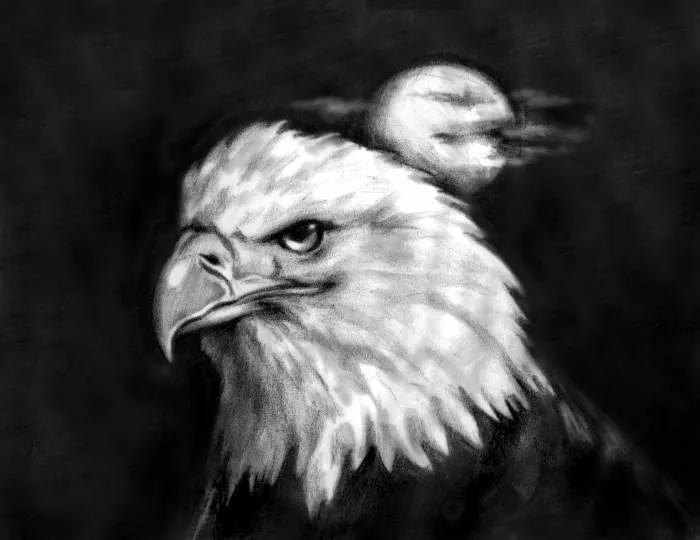Cabeza de águila | Draws | Pinterest