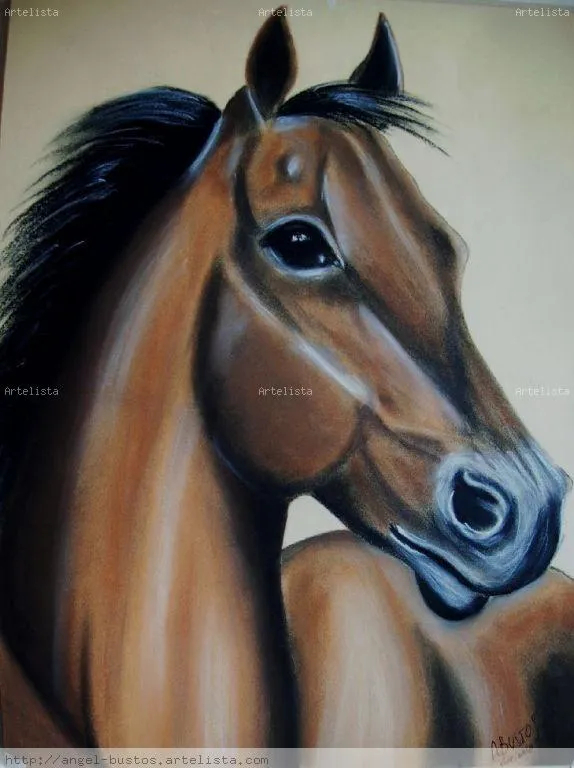 CABEZA DE CABALLO Angel Bustos Martin - Artelista.com CABEZA DE CABALLO Angel Bustos Martin - Artelista.com