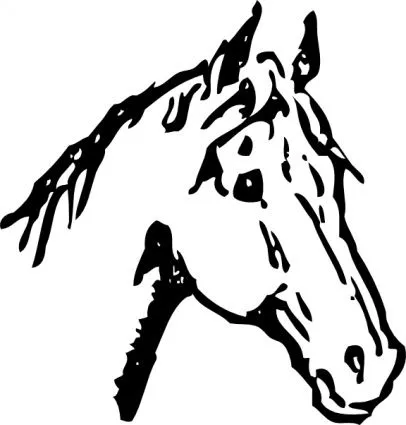 Cabeza del esquema silueta cara dibujos animados caballo jefes ... Cabeza del esquema silueta cara dibujos animados caballo jefes ...