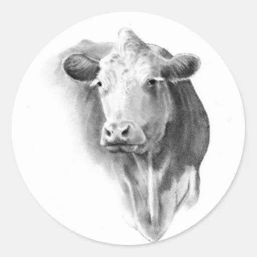 LA CABEZA DE LA VACA EN LÁPIZ PEGATINA de Zazzle. LA CABEZA DE LA VACA EN LÁPIZ PEGATINA de Zazzle.