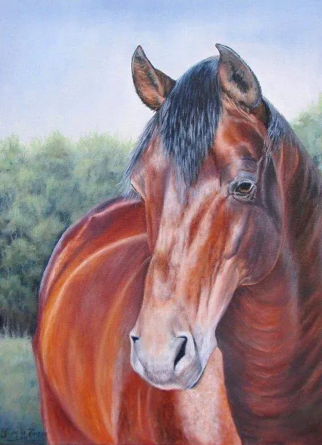 Cabezas de caballos | El club del arte, pinturas Cabezas de caballos | El club del arte, pinturas