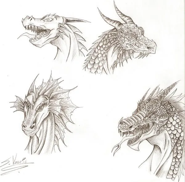 Cabezas de dragon - Imagui